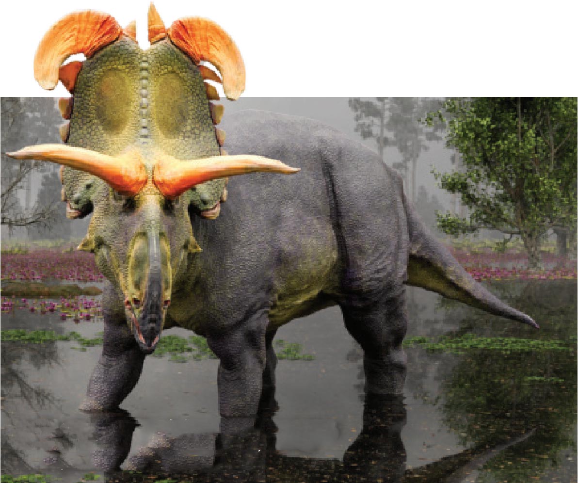 Lokiceratops rangiformis с клинковидными рогами, выступающими над лбом, бредёт по болотам 78-миллионолетней давности