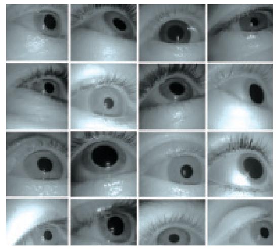 Видео с десятками глаз (некоторые из них показаны на кадрах) помогло подтвердить, что с возрастом зрачок действительно уменьшается.
