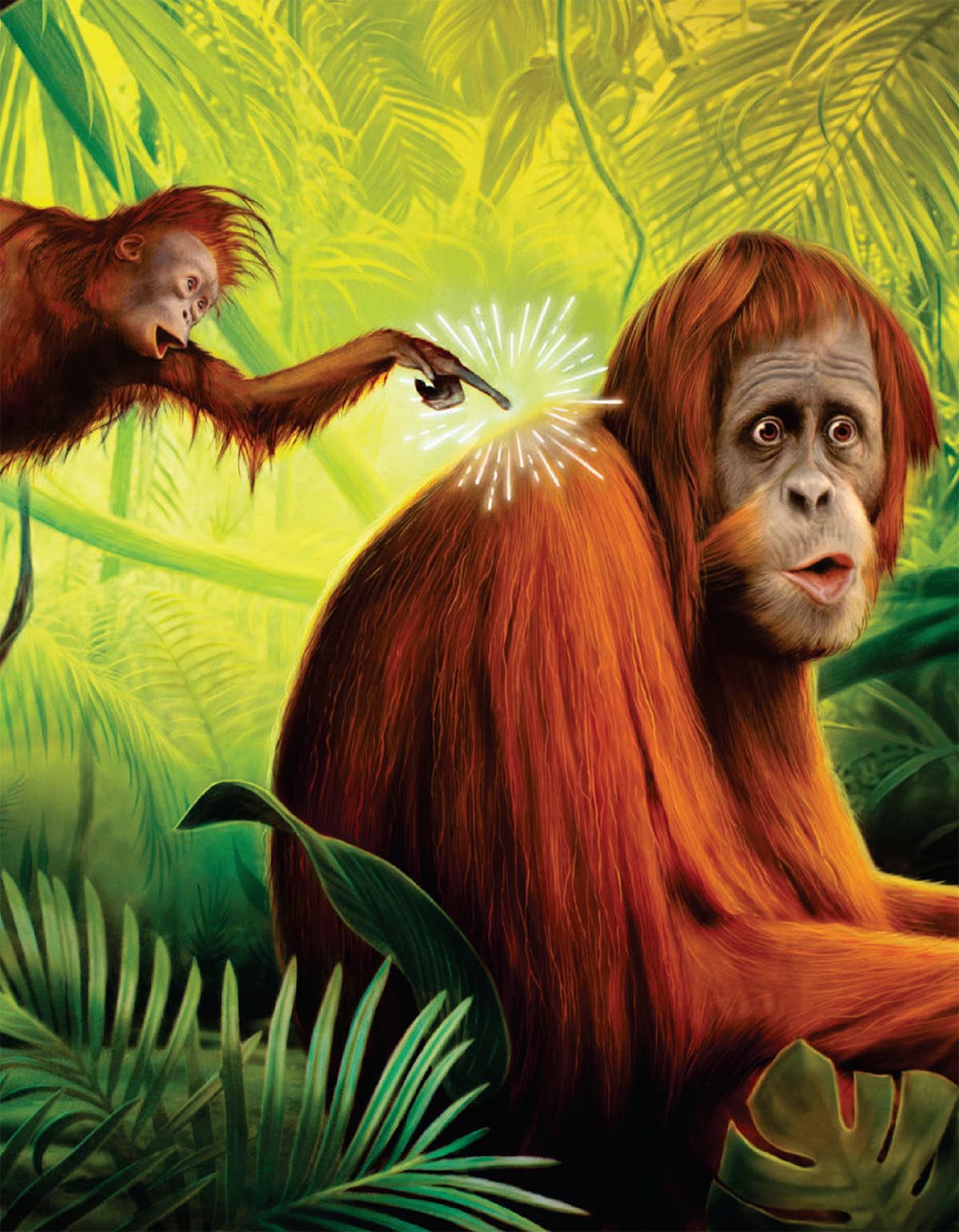 Молодые животные животные обожают дразнить друг друга, и это не только обезьяны.