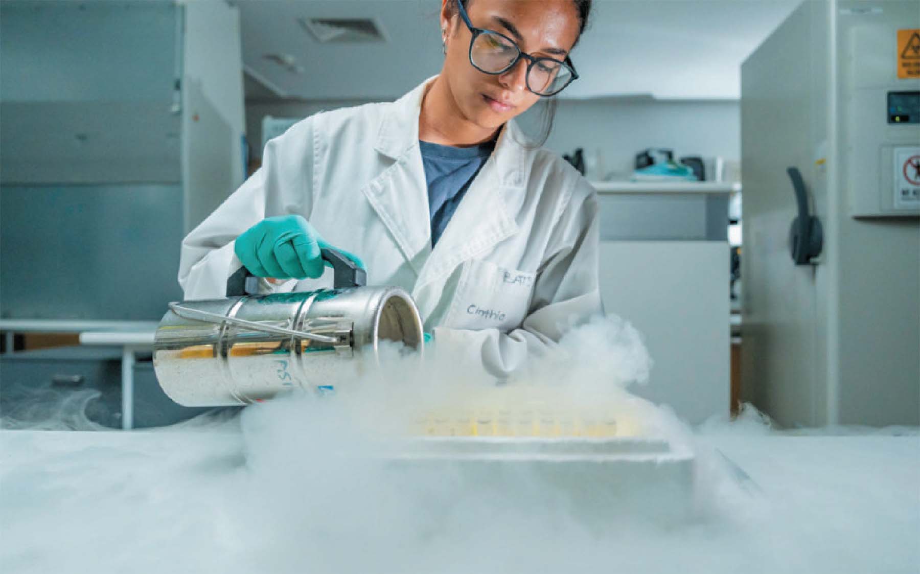 Учёный готовится анализировать ДНК из образцов помёта летучих лисиц.