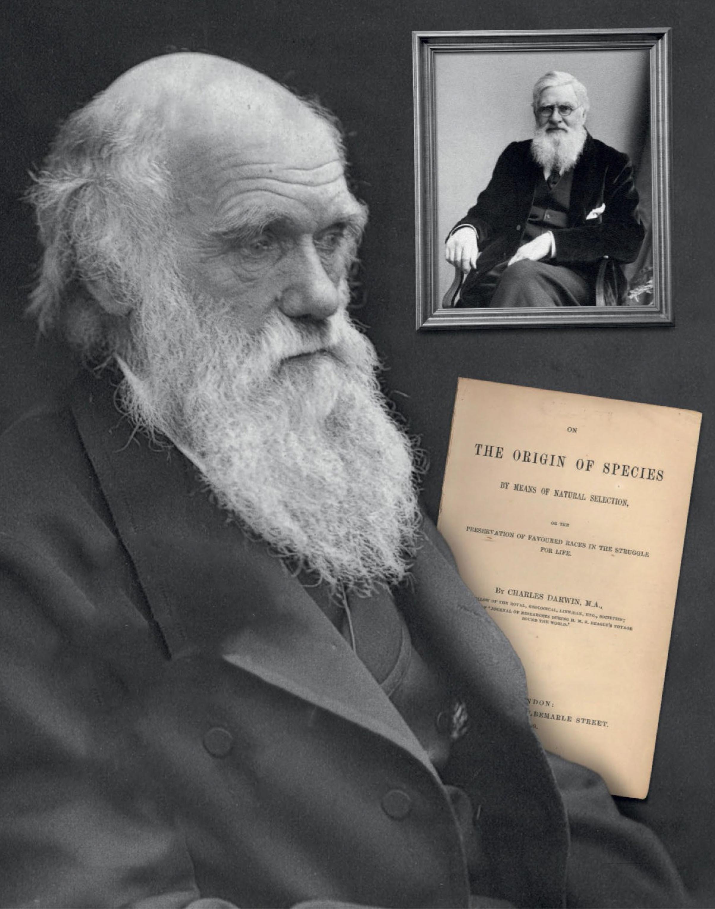 Дарвин — сильнейший выживший.