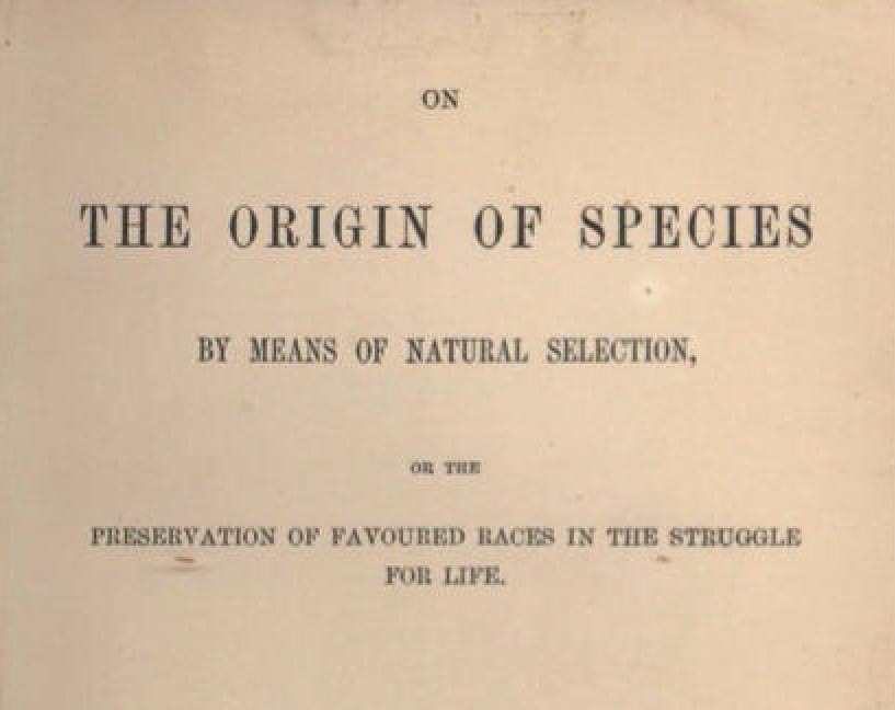 Сегодня первое издание On the Origin of Species — редкий коллекционный экземпляр: в марте 2024 года одна копия была продана на аукционе за 305 200 фунтов стерлингов.