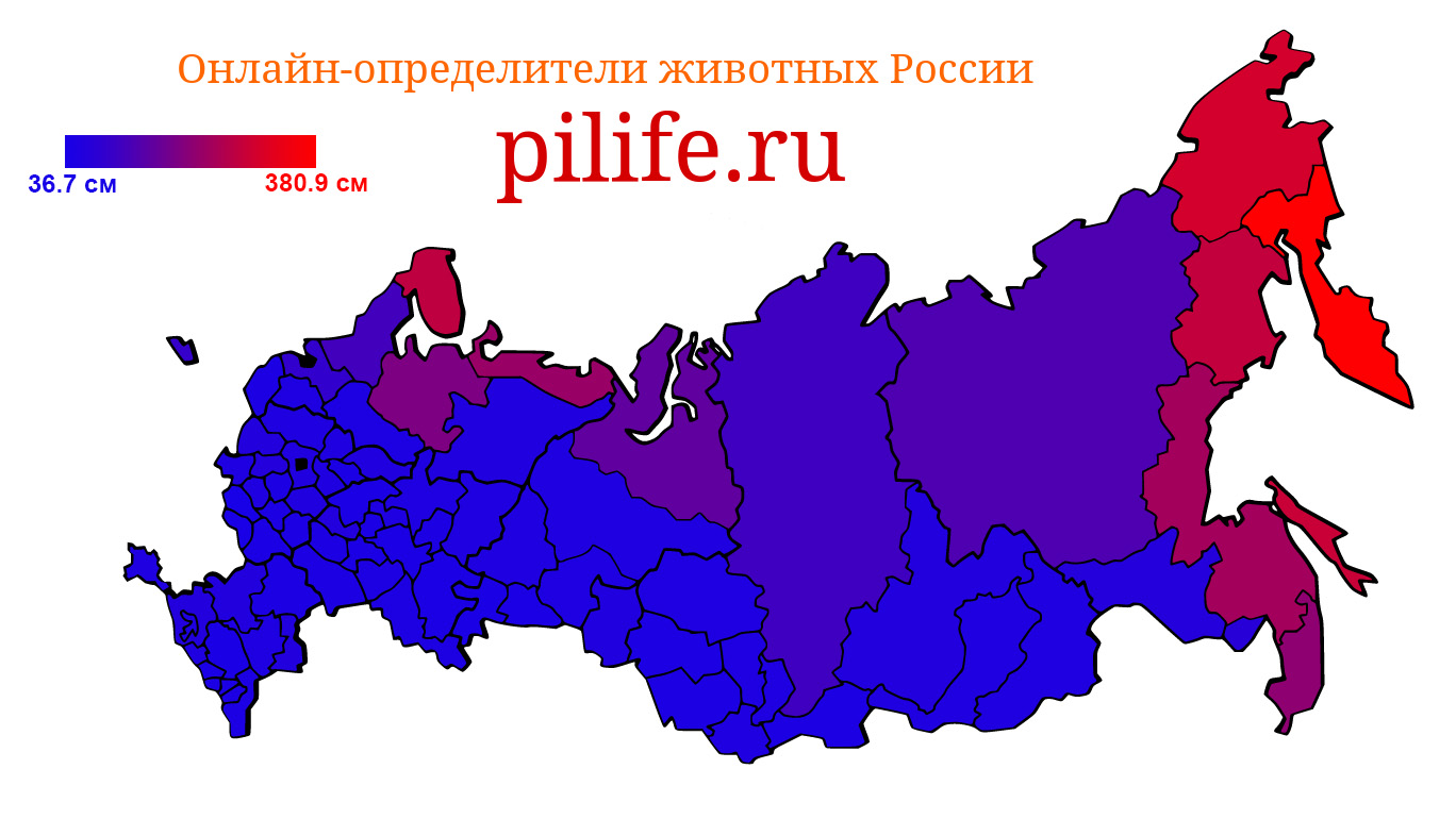 Среднеарифметическая длина видов млекопитающих по регионам России.